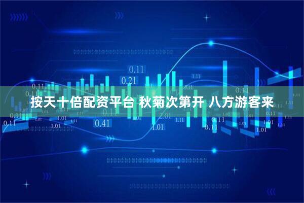 按天十倍配资平台 秋菊次第开 八方游客来